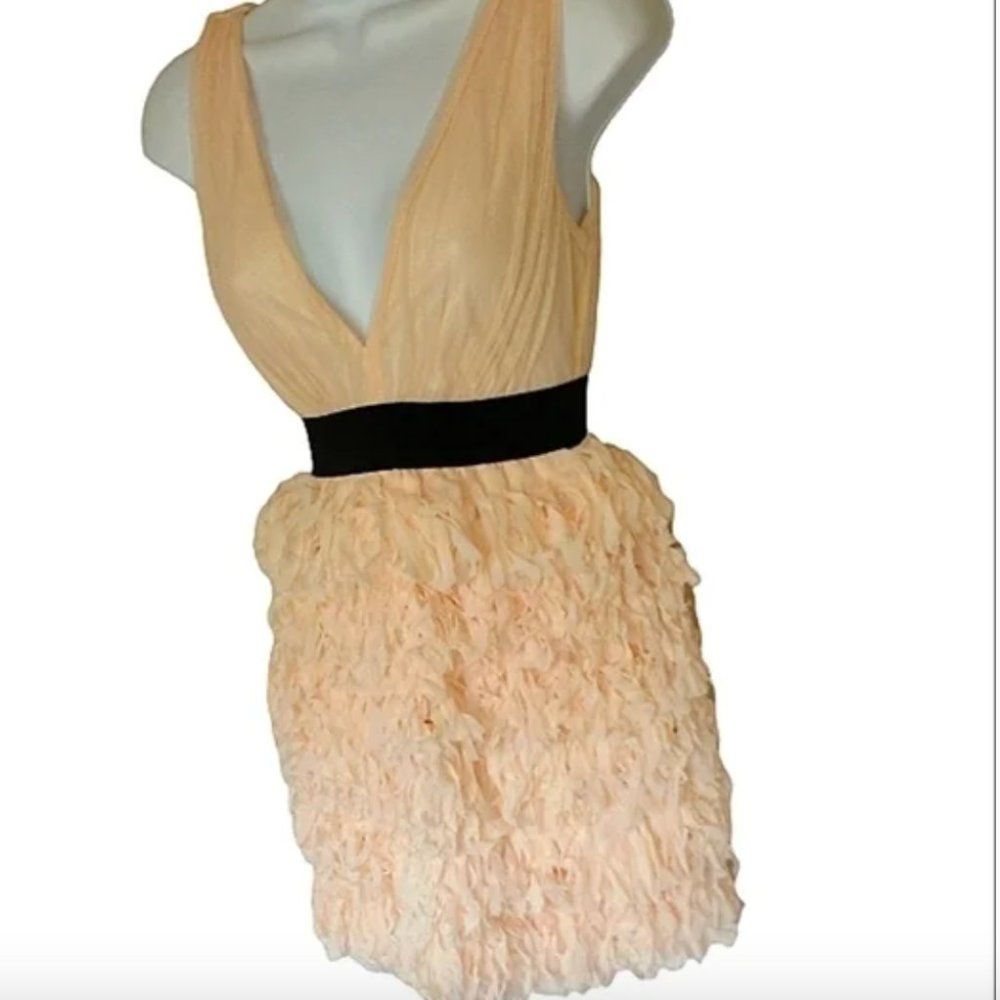 Creme and Black Dress